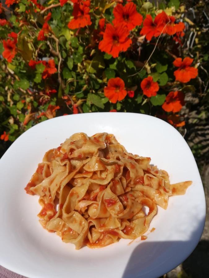 Agriturismo Terre Di Mare Bordighera ヴァッレクロージア エクステリア 写真