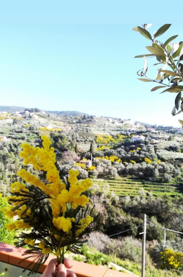 Agriturismo Terre Di Mare Bordighera ヴァッレクロージア エクステリア 写真