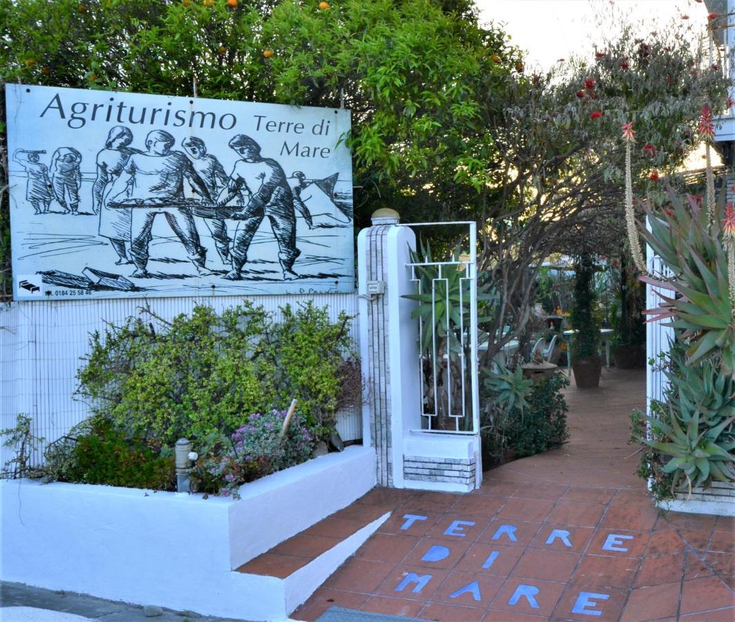 Agriturismo Terre Di Mare Bordighera ヴァッレクロージア エクステリア 写真
