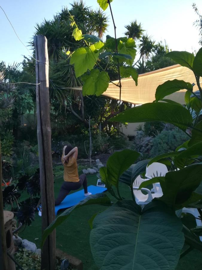 Agriturismo Terre Di Mare Bordighera ヴァッレクロージア エクステリア 写真